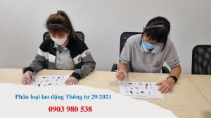 Phan loai lao dong Thong tu 29 scaled