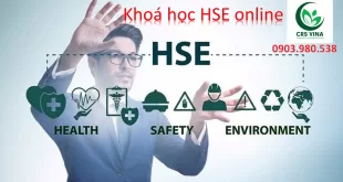 Khoá học HSE online 1