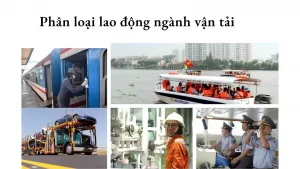 Quy định phân loại lao động ngành vận tải theo Thông tư 112020TT BLĐTBXH.