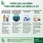 Phân loại lao động theo điều kiện lao động là gì?